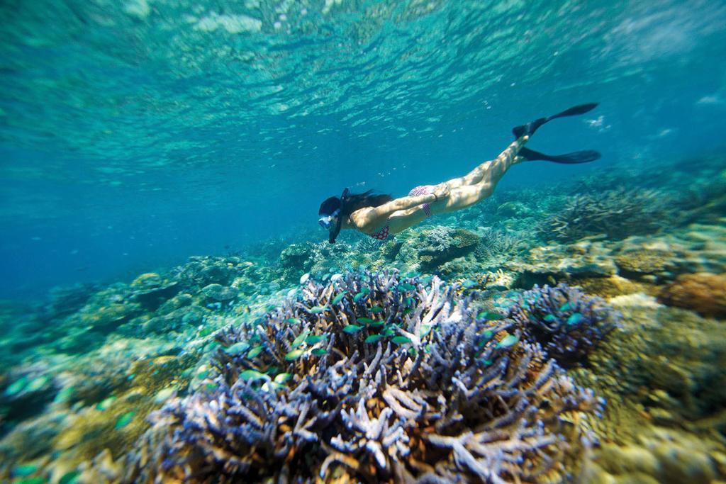 Mantaray Island Resort Nanuya Balavu Island Luaran gambar