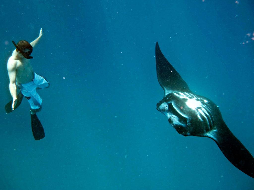 Mantaray Island Resort Nanuya Balavu Island Luaran gambar